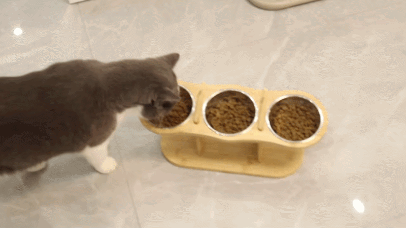 Raised Cat Bowl Stand – Wooden Elevated Feeder with 3 Stainless Steel Bowls | Comfortable Feeding for Cats & Small Dogs